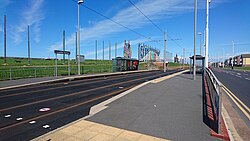 Lowther Avenue