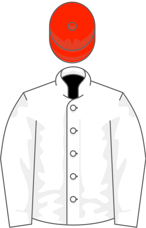 File:Owner David McCall.svg