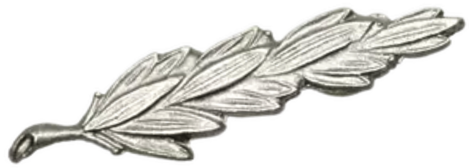 File:Queen's Commendation for Bravery.png