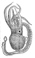 Thumbnail for version as of 23:40, 6 August 2010