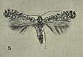 Thumbnail for version as of 09:29, 3 December 2010