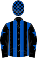 Black and royal blue stripes, royal blue stars on sleeves, check cap