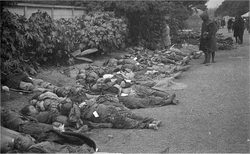 Black and white photograph of numerous bodies dressed in civilian clothing lying on a park