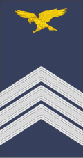 File:Portugal-AirForce-OR-6a.svg