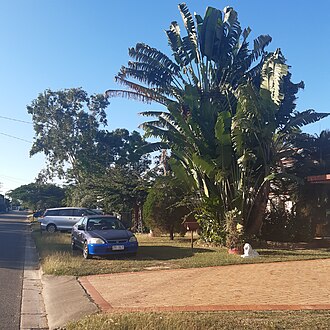 A suburban street in Kelso