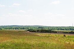 Mrówcza Górka (305,7 m n.p.m.)
