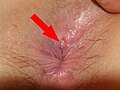Thumbnail for version as of 10:31, 24 April 2023