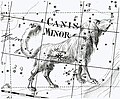Canis Minor