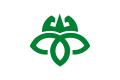 Flag of Iwamura, Gifu (1965–2004).svg