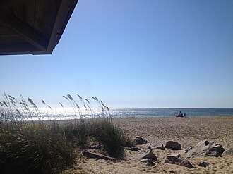 Shore