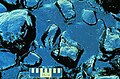 Thumbnail for version as of 07:03, 9 June 2025