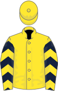 Yellow, dark blue chevrons on sleeves