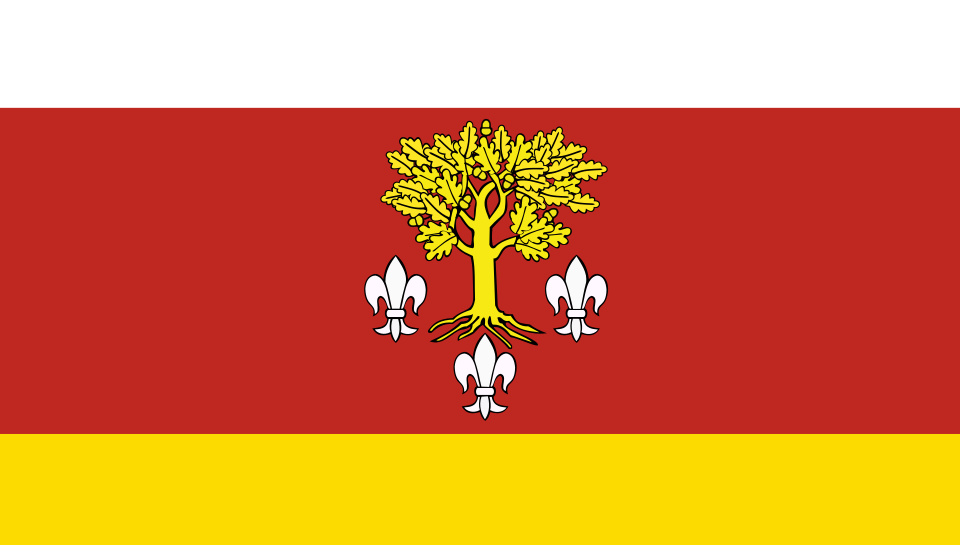 File:POL powiat poddębicki flag.svg