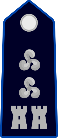 File:Tenente colonnello.svg