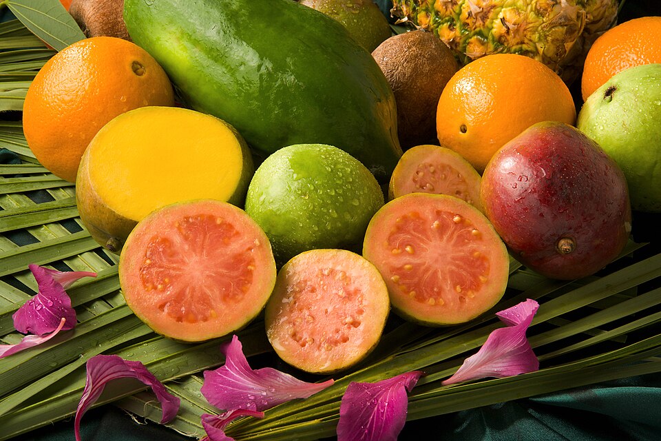File:ARS guava.jpg