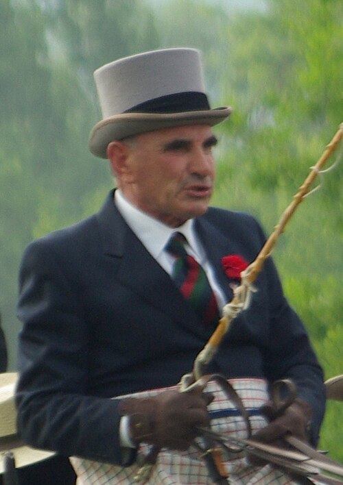 File:Carlo Mascheroni, 2010 (cropped).jpg