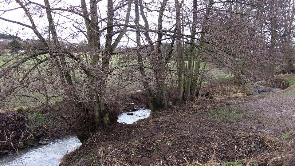 File:Die Warme bei Habichtswald Ehlen.JPG