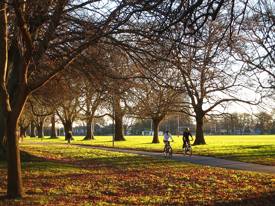 File:HagleyPark02 gobeirne.jpg