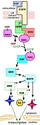 Thumbnail for version as of 11:27, 6 January 2009