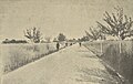 Road to village