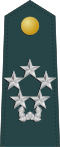 Marshal of the RoK