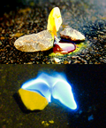 Thumbnail for version as of 18:16, 25 April 2021