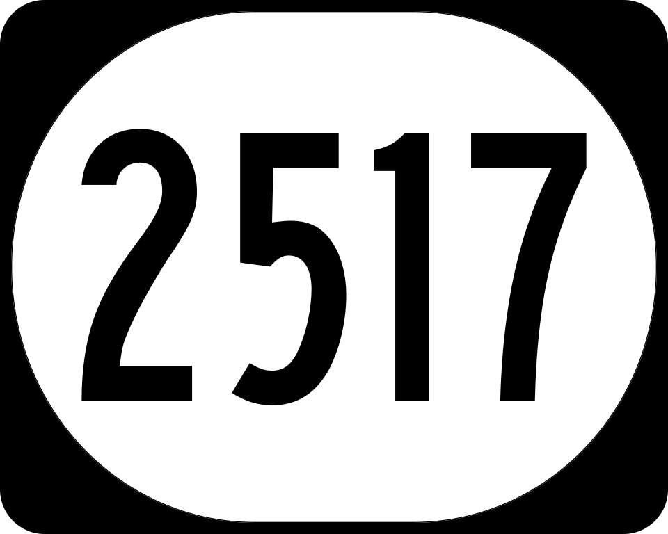 File:Elongated circle 2517.svg