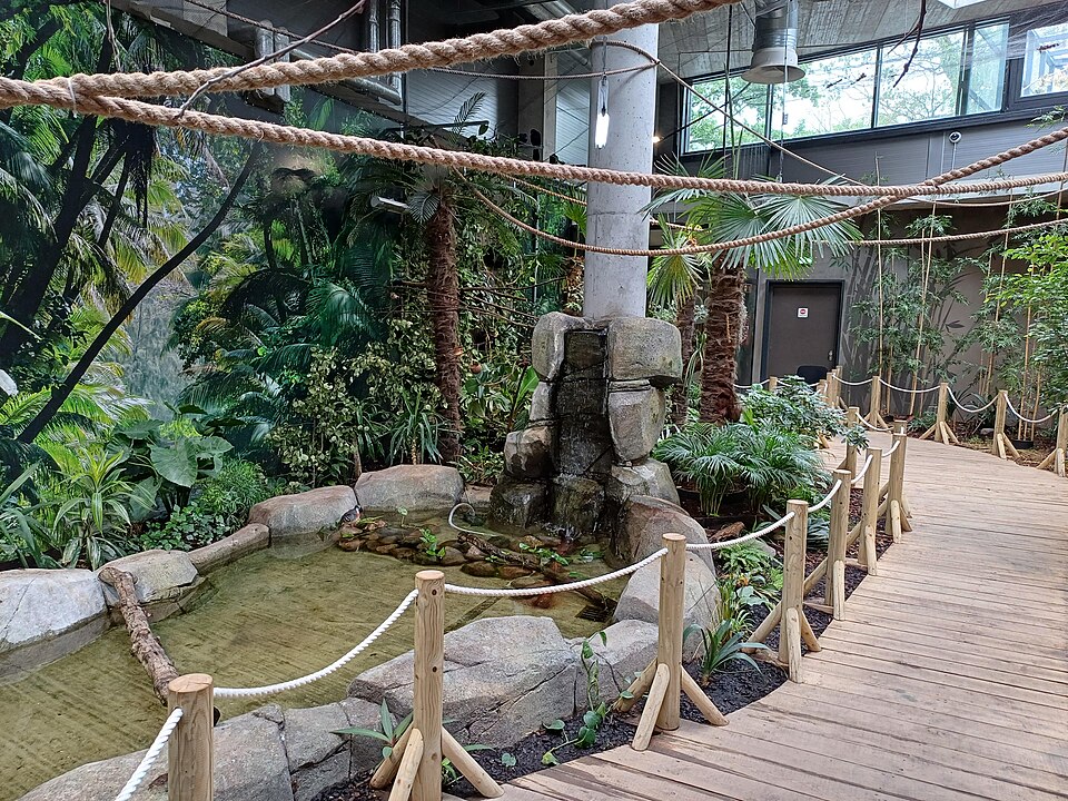 File:Lithuanian zoo in Kaunas (7).jpg