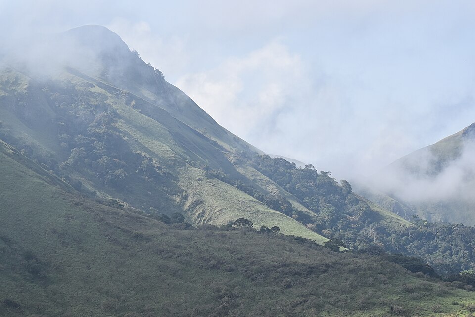 File:Mount Nimba - cloud forests.jpg
