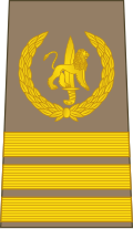 Sergent-chef(Congolese Ground Forces)
