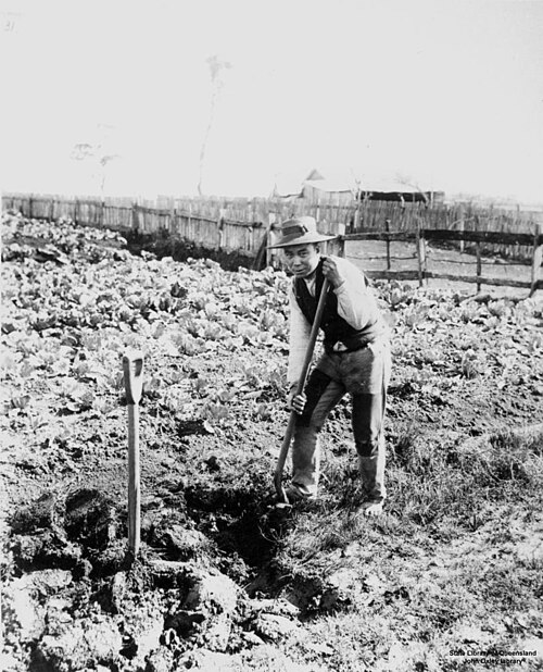 File:Chinese gardener, ca. 1893 121707.jpg