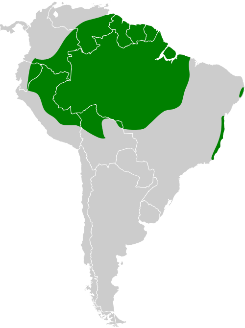 File:Ornithion inerme map.svg