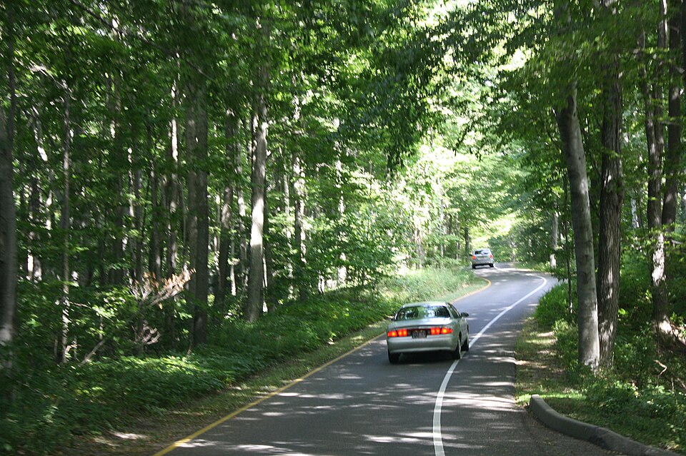 File:Pierce Stocking Scenic Drive Woods.jpg