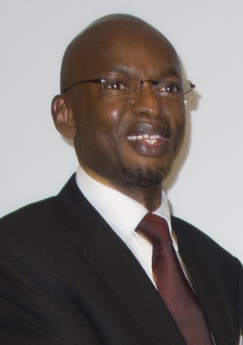 File:Alain Aimé Nyamitwe 1 (cropped).jpg