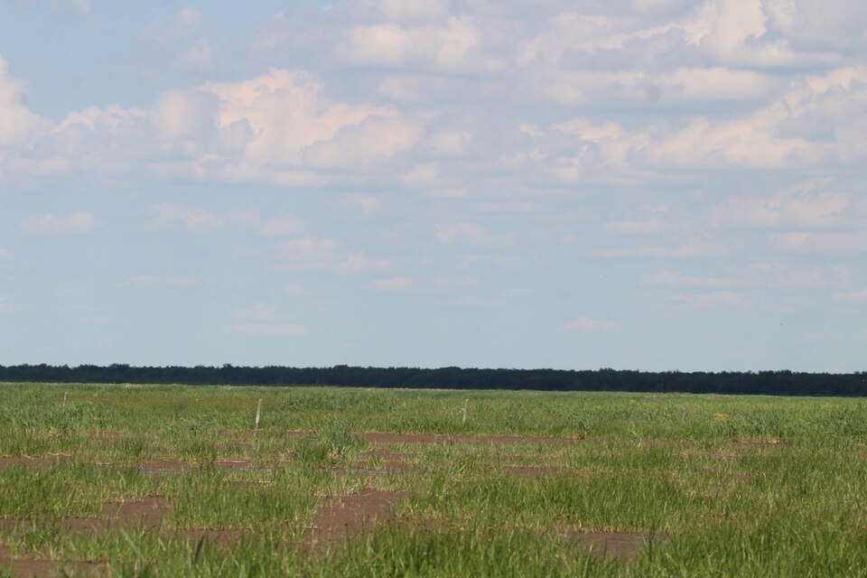 File:Beaverhill.jpg