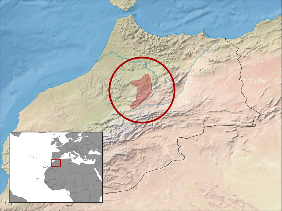 File:Chalcides lanzai distribution.png