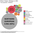 Image 29Ethnic origins in Michigan in 2021. (from Michigan)