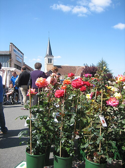 File:Mers sur Indre.JPG