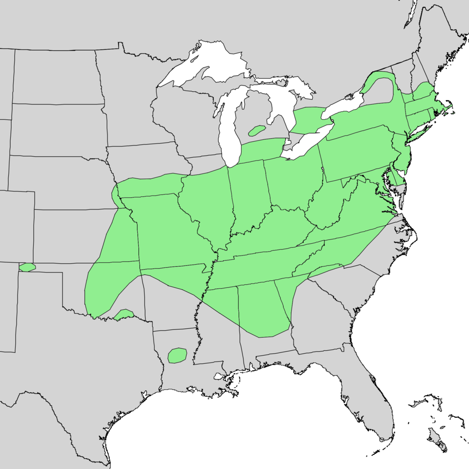 File:Quercus prinoides range map.png