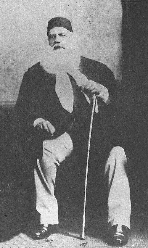 File:SirSyedAhmedKhan.jpg