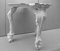 July 1stVolcanic ash cavity cast