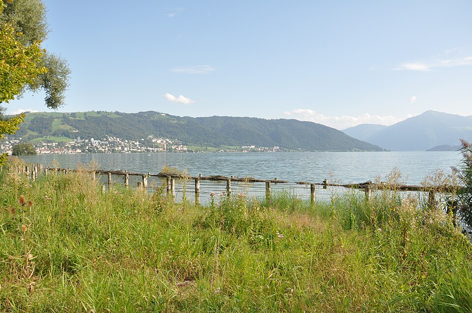 File:Zug Riedmatt (jungsteinzeitliche Seeufersiedlung) 1.jpg
