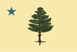 1901 Flag of Maine