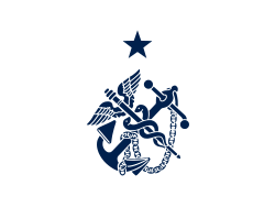 Flag of a 1-Star Assistant Surgeon General(Rear admiral (lower half))
