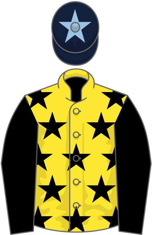 File:Owner Mick and Molly Syndicate.svg