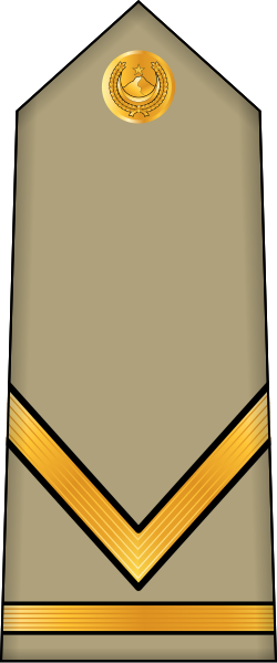 File:05.AlgA-MSG.svg