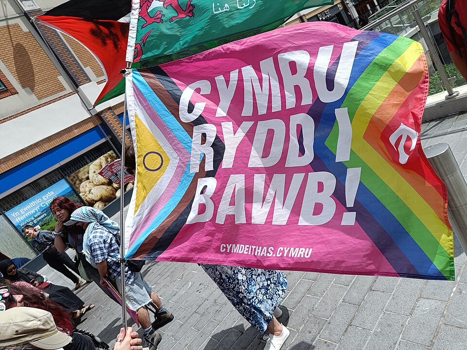 File:Baner Balchder o Gymdeithas.jpg