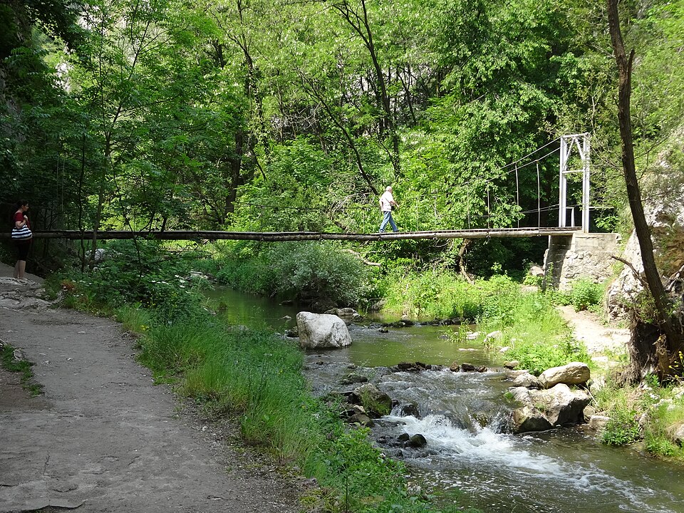 File:Cheile Turzii (2).jpg