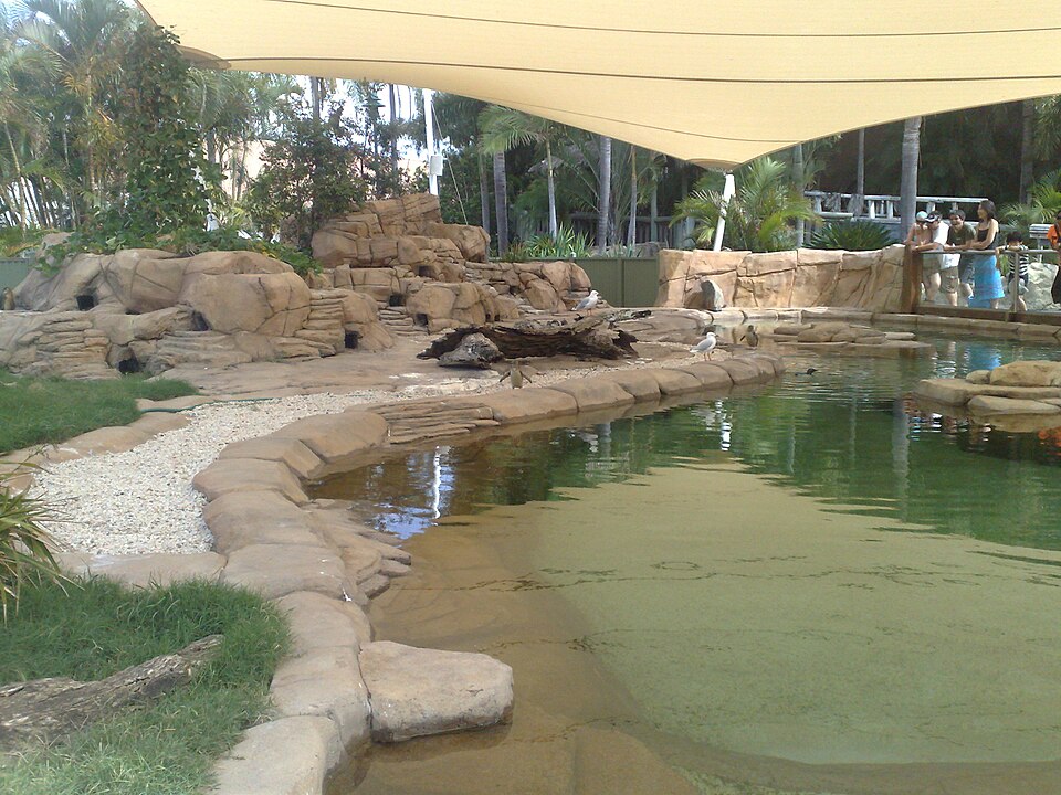 File:Penguin Point at Sea World.jpg