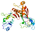 Thumbnail for version as of 04:54, 24 December 2009